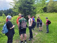 wyspowy (27)